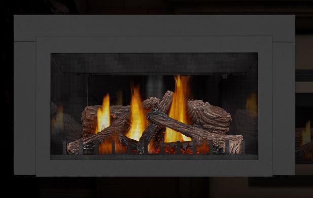 Napoleon Inspiration Direct Vent Gas Fireplace Insert