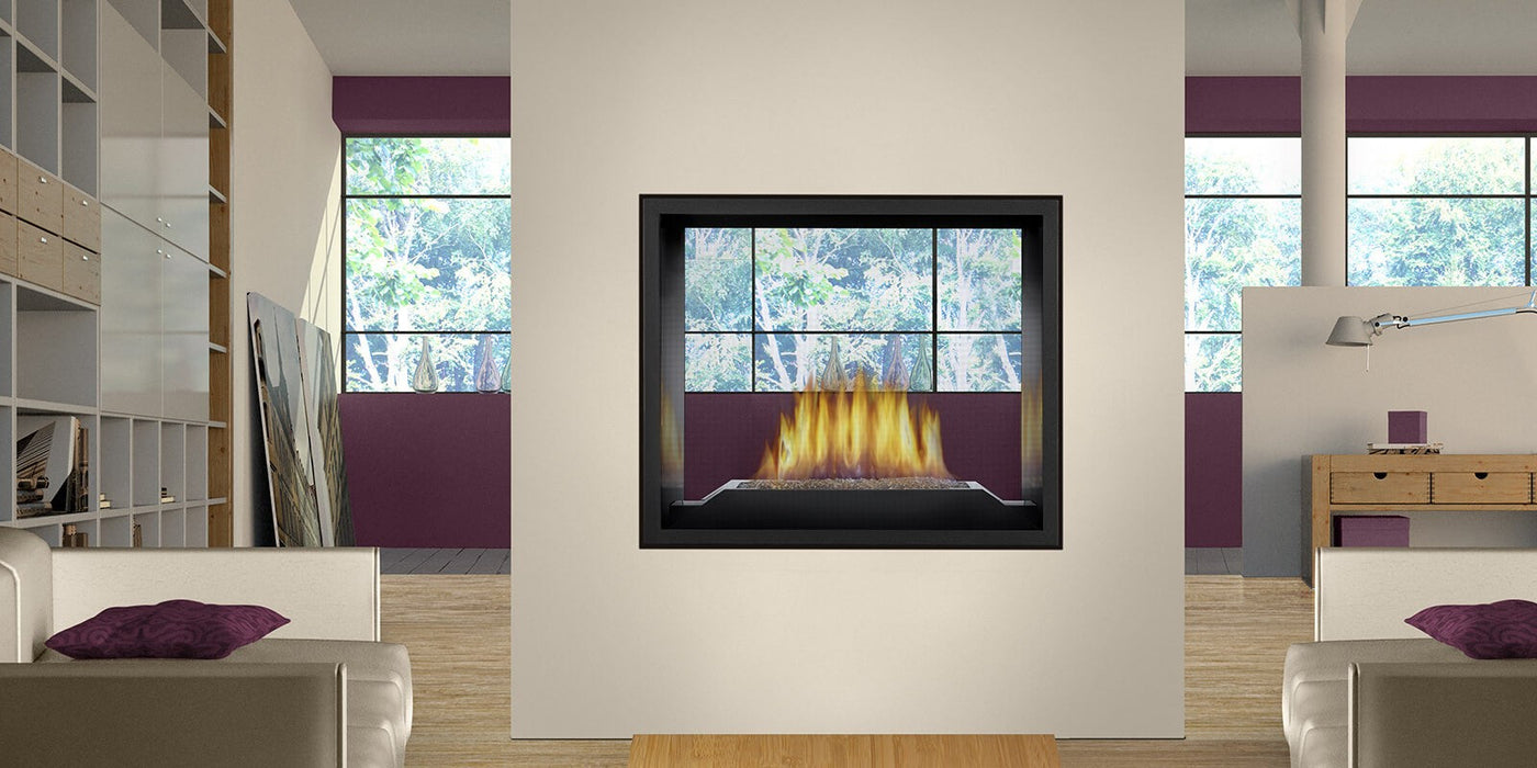 Napoleon High Definition See Through Direct Vent Gas Fireplace
