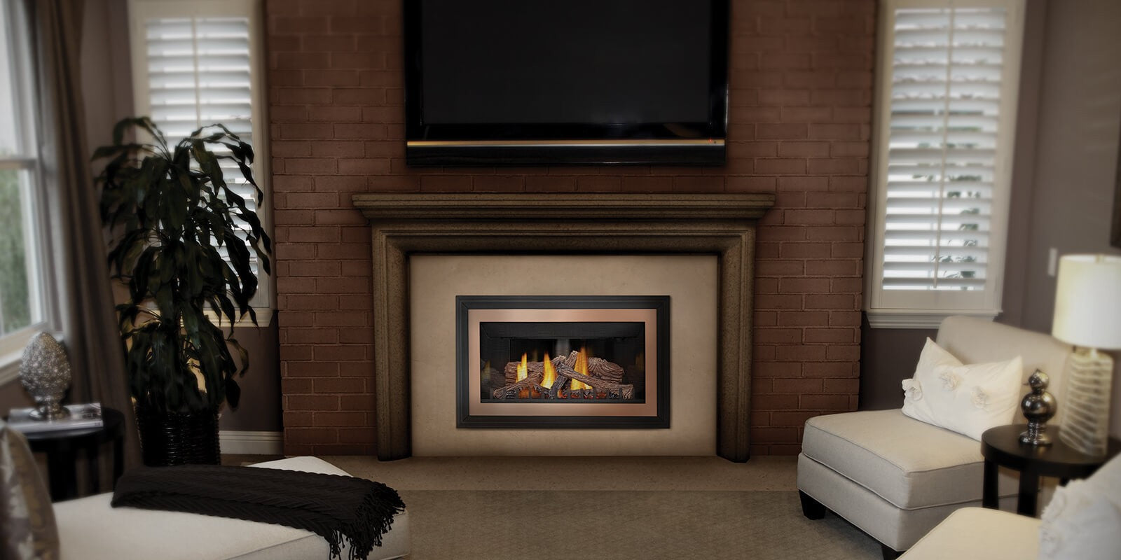 Napoleon Inspiration Direct Vent Gas Fireplace Insert